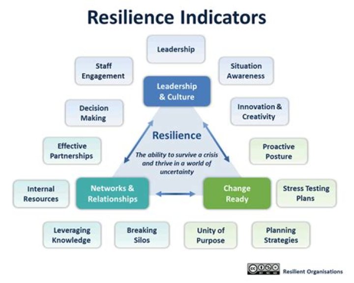 A Legacy Of Resilience And Impact
